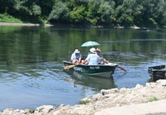 Savska regata