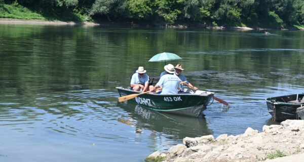 Savska regata