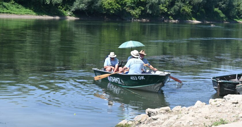 Savska regata