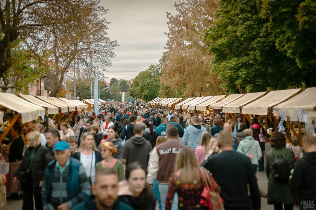 Bučijada-1 Bučijada-1